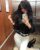 Ankara Eve Otele Gelen Üniversiteli Sınırsız Anal Escort Basak - Image 14